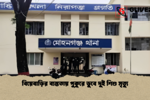 বিয়েবাড়ির ব্যস্ততায় পুকুরে ডুবে দুই শিশু মৃত্যু