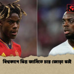 বিশ্বকাপে ভিন্ন জার্সিতে চার জোড়া ভাই বিশ্বকাপে ভিন্ন জার্সিতে চার জোড়া ভাই