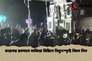 ভারতের রতলামে তাজিয়া মিছিলে বিদ্যুৎস্পৃষ্টে নিহত তিন
