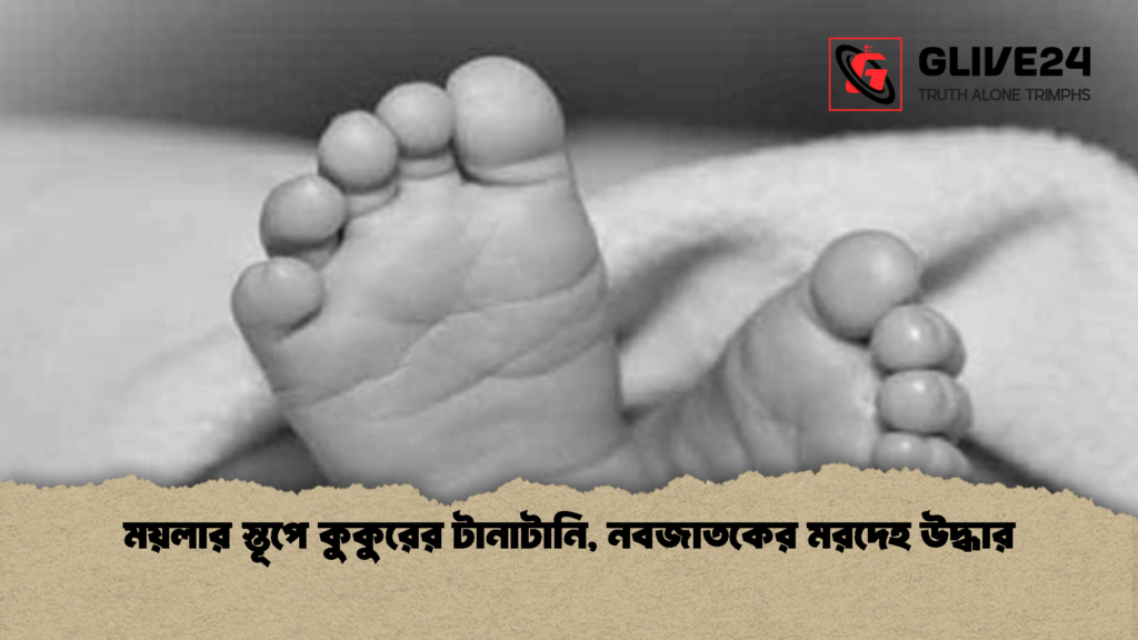 ময়লার স্তূপে কুকুরের টানাটানি নবজাতকের মরদেহ উদ্ধার 1 ময়লার স্তূপে কুকুরের টানাটানি, নবজাতকের মরদেহ উদ্ধার