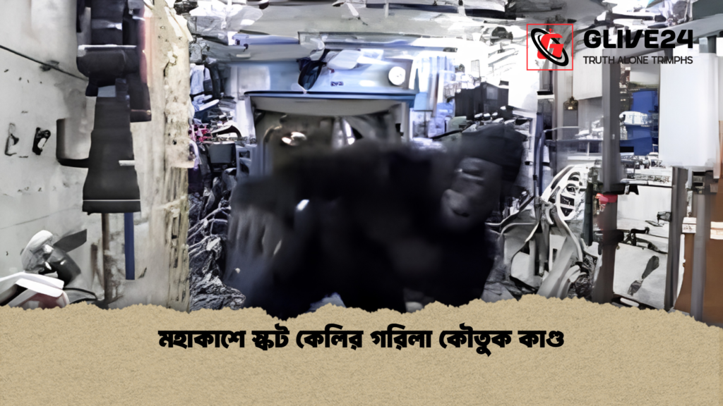 মহাকাশে স্কট কেলির গরিলা কৌতুক কাণ্ড মহাকাশে স্কট কেলির গরিলা কৌতুক কাণ্ড