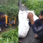 মানিকগঞ্জে সড়ক দুর্ঘটনা মহাসড়কে মুখোমুখি সংঘর্ষে নিহত ২ মানিকগঞ্জে সড়ক দুর্ঘটনা: মহাসড়কে মুখোমুখি সংঘর্ষে নিহত ২