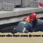 মেট্রোরেল লাইনে বিড়াল ঢোকায় ট্রেন চলাচল ব্যাহত