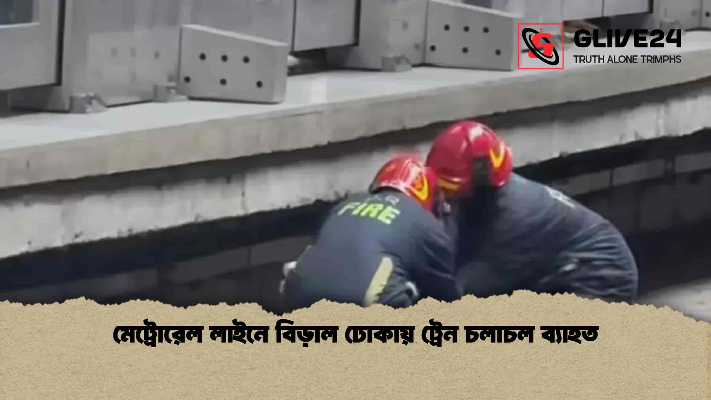 মেট্রোরেল লাইনে বিড়াল ঢোকায় ট্রেন চলাচল ব্যাহত