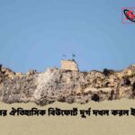 লেবাননের ঐতিহাসিক বিউফোর্ট দুর্গ দখল করল ইসরায়েল