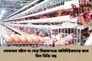 লোকসান সইতে না পেরে সিরাজগঞ্জে অনির্দিষ্টকালের জন্য ডিম বিক্রি বন্ধ
