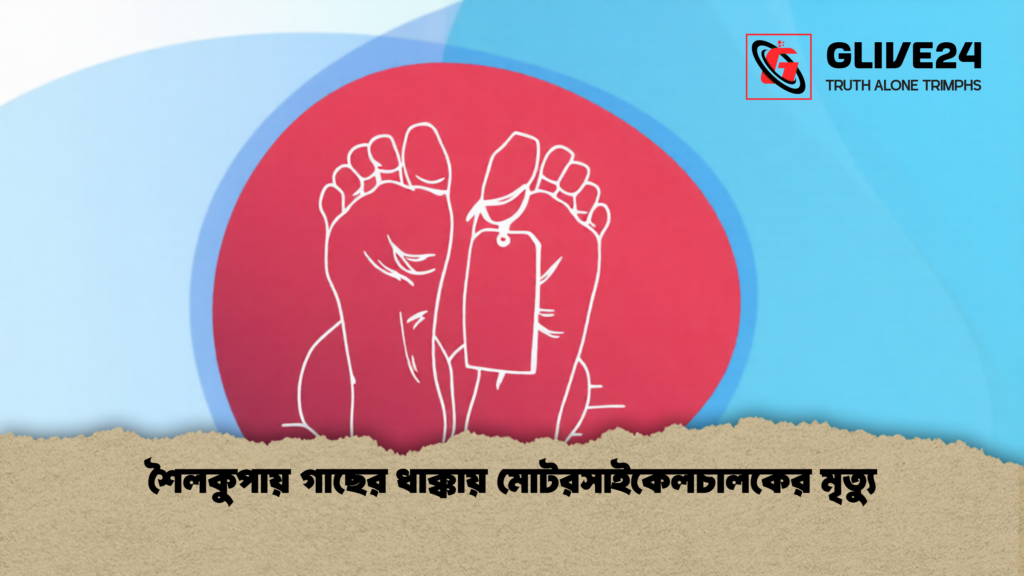 শৈলকুপায় গাছের ধাক্কায় মোটরসাইকেলচালকের মৃত্যু 1 শৈলকুপায় গাছের ধাক্কায় মোটরসাইকেলচালকের মৃত্যু