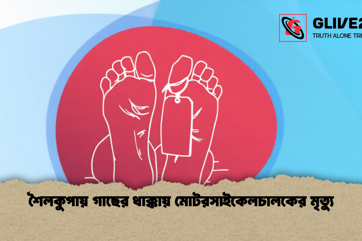 শৈলকুপায় গাছের ধাক্কায় মোটরসাইকেলচালকের মৃত্যু