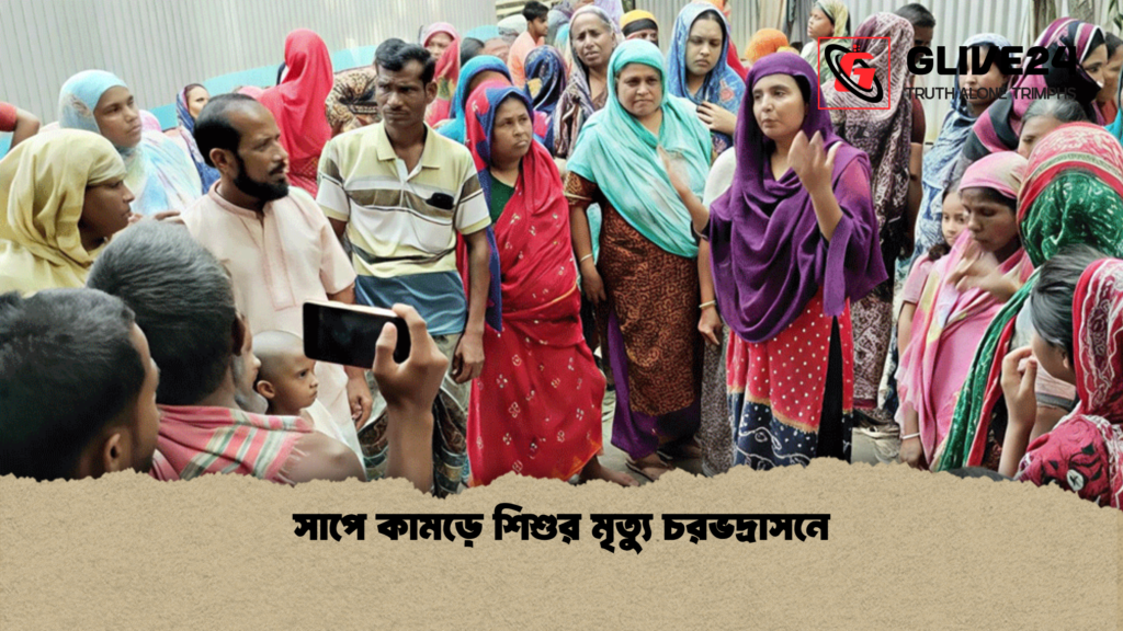 সাপে কামড়ে শিশুর মৃত্যু চরভদ্রাসনে সাপে কামড়ে শিশুর মৃত্যু চরভদ্রাসনে