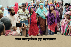 সাপে কামড়ে শিশুর মৃত্যু চরভদ্রাসনে