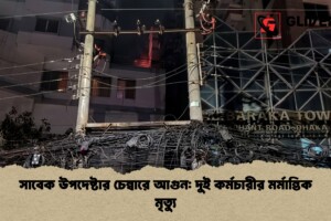 সাবেক উপদেষ্টার চেম্বারে আগুন: দুই কর্মচারীর মর্মান্তিক মৃত্যু