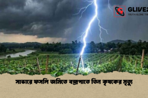সাভারে ফসলি জমিতে বজ্রপাতে তিন কৃষকের মৃত্যু