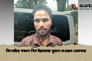 সিংগাইরে পঞ্চাশ পিস ইয়াবাসহ সুজন দেওয়ান গ্রেফতার
