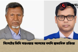 সিলেটের ডিসি সারওয়ার আলমের বদলি স্বাভাবিক প্রক্রিয়া