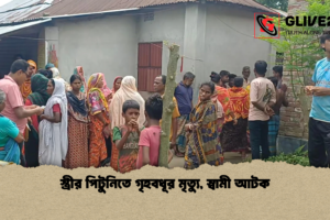 স্ত্রীর পিটুনিতে গৃহবধূর মৃত্যু, স্বামী আটক