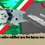হরমুজে মার্কিন বাহিনীকে রুখে দিল ইরানের মশা নৌবহর 1 হরমুজে মার্কিন বাহিনীকে রুখে দিল ইরানের মশা নৌবহর