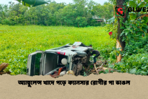 অ্যাম্বুলেন্স খাদে পড়ে ক্যানসার রোগীর পা ভাঙল