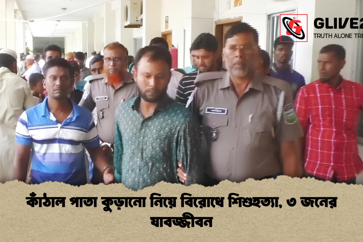 কাঁঠাল পাতা কুড়ানো নিয়ে বিরোধে শিশুহত্যা, ৩ জনের যাবজ্জীবন