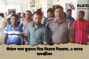 কাঁঠাল পাতা কুড়ানো নিয়ে বিরোধে শিশুহত্যা, ৩ জনের যাবজ্জীবন