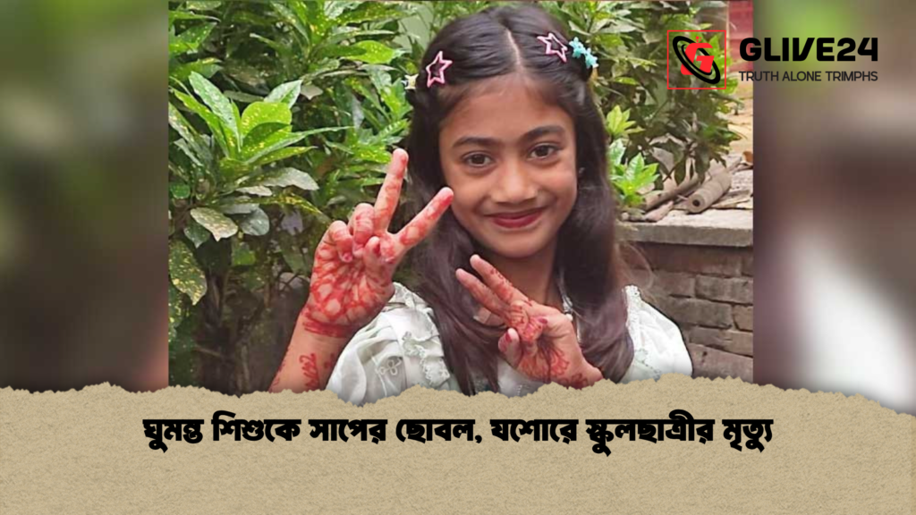 ঘুমন্ত শিশুকে সাপের ছোবল যশোরে স্কুলছাত্রীর মৃত্যু ঘুমন্ত শিশুকে সাপের ছোবল, যশোরে স্কুলছাত্রীর মৃত্যু