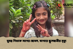 ঘুমন্ত শিশুকে সাপের ছোবল, যশোরে স্কুলছাত্রীর মৃত্যু