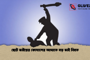 ছোট ভাইয়ের কোদালের আঘাতে বড় ভাই নিহত