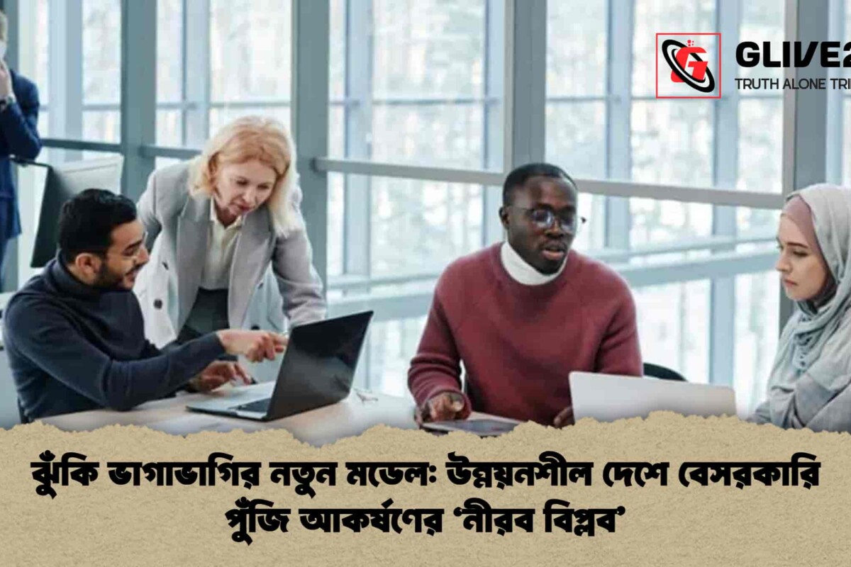 ঝুঁকি ভাগাভাগির নতুন মডেল: উন্নয়নশীল দেশে বেসরকারি পুঁজি আকর্ষণের ‘নীরব বিপ্লব’
