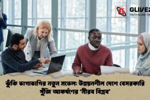 ঝুঁকি ভাগাভাগির নতুন মডেল: উন্নয়নশীল দেশে বেসরকারি পুঁজি আকর্ষণের ‘নীরব বিপ্লব’