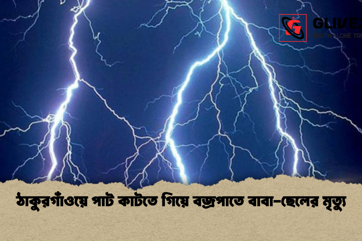 ঠাকুরগাঁওয়ে পাট কাটতে গিয়ে বজ্রপাতে বাবা-ছেলের মৃত্যু