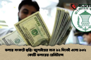 ডলার সংকটে স্বস্তি: জুলাইয়ের মাত্র ১২ দিনেই এলো ১৩২ কোটি ডলারের রেমিট্যান্স
