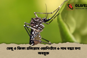 ডেঙ্গু ও জিকা প্রতিরোধে ওয়াশিংটনে ৬ লাখ বন্ধ্যা মশা অবমুক্ত