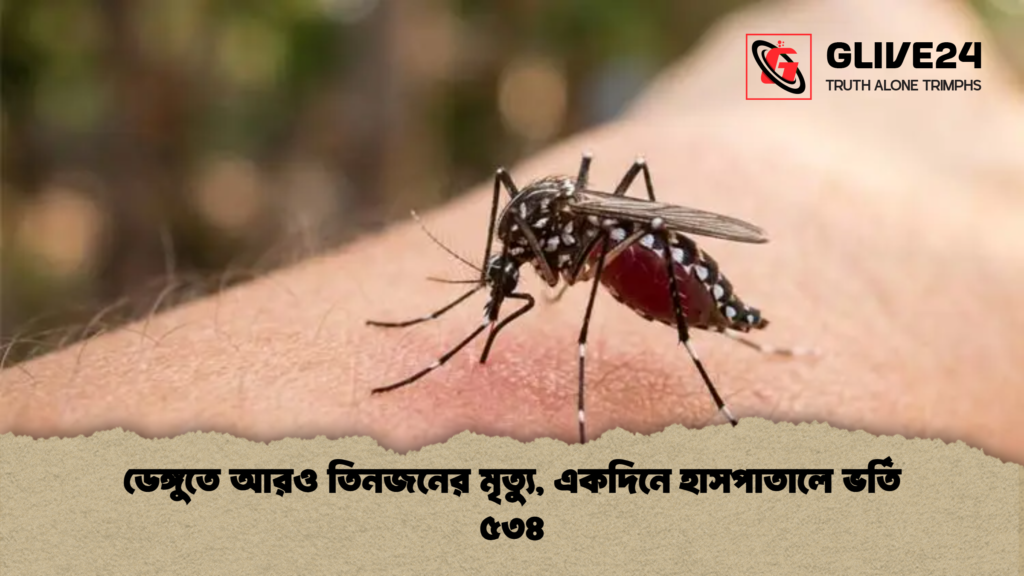 ডেঙ্গুতে আরও তিনজনের মৃত্যু, একদিনে হাসপাতালে ভর্তি ৫৩৪ ডেঙ্গুতে আরও তিনজনের মৃত্যু একদিনে হাসপাতালে ভর্তি ৫৩৪ ডেঙ্গুতে আরও তিনজনের মৃত্যু, একদিনে হাসপাতালে ভর্তি ৫৩৪