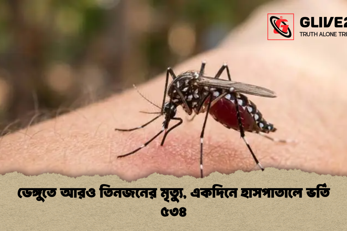 ডেঙ্গুতে আরও তিনজনের মৃত্যু, একদিনে হাসপাতালে ভর্তি ৫৩৪