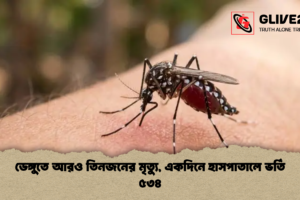 ডেঙ্গুতে আরও তিনজনের মৃত্যু, একদিনে হাসপাতালে ভর্তি ৫৩৪
