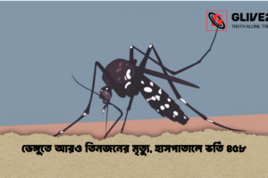 ডেঙ্গুতে আরও তিনজনের মৃত্যু, হাসপাতালে ভর্তি ৪৫৮