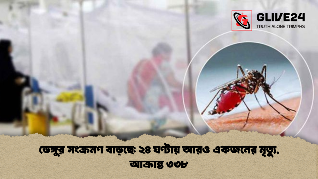 ডেঙ্গুর সংক্রমণ বাড়ছে ২৪ ঘণ্টায় আরও একজনের মৃত্যু আক্রান্ত ৩৩৮ 2 ডেঙ্গুর সংক্রমণ বাড়ছে: ২৪ ঘণ্টায় আরও একজনের মৃত্যু, আক্রান্ত ৩৩৮