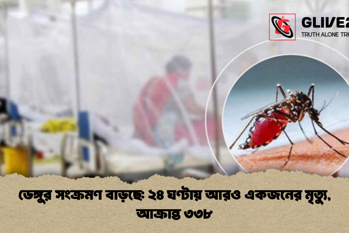 ডেঙ্গুর সংক্রমণ বাড়ছে: ২৪ ঘণ্টায় আরও একজনের মৃত্যু, আক্রান্ত ৩৩৮