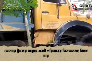 ডোমারে ট্রাকের ধাক্কায় একই পরিবারের তিনজনসহ নিহত চার