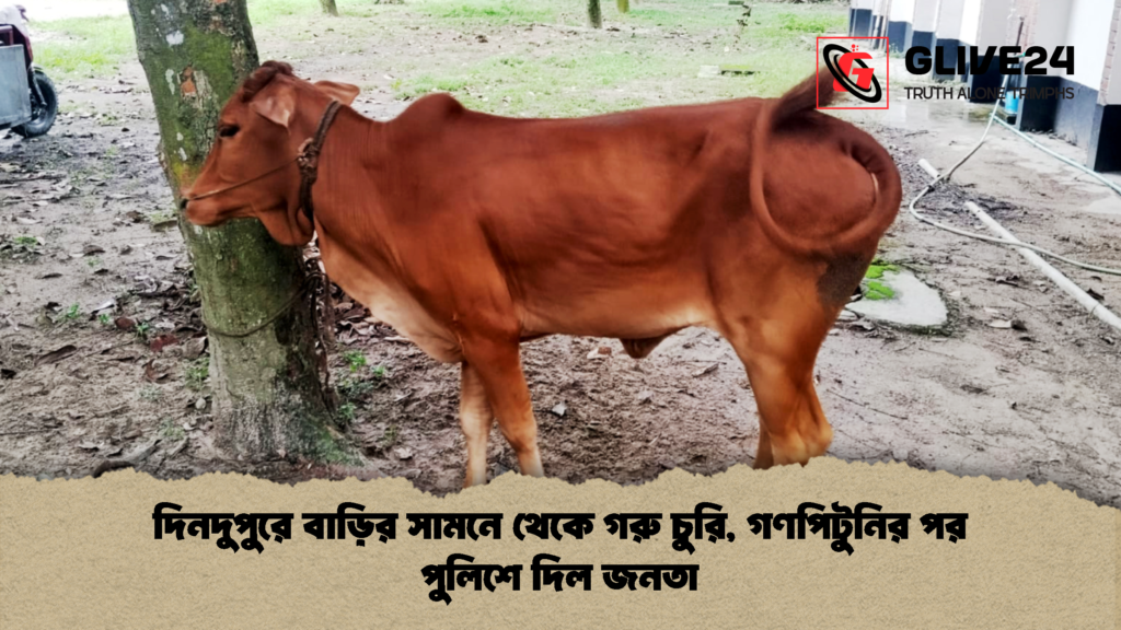 দিনদুপুরে বাড়ির সামনে থেকে গরু চুরি গণপিটুনির পর পুলিশে দিল জনতা 2 দিনদুপুরে বাড়ির সামনে থেকে গরু চুরি, গণপিটুনির পর পুলিশে দিল জনতা
