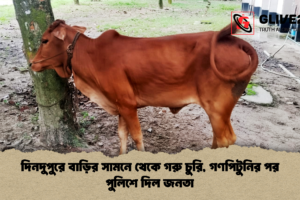 দিনদুপুরে বাড়ির সামনে থেকে গরু চুরি, গণপিটুনির পর পুলিশে দিল জনতা