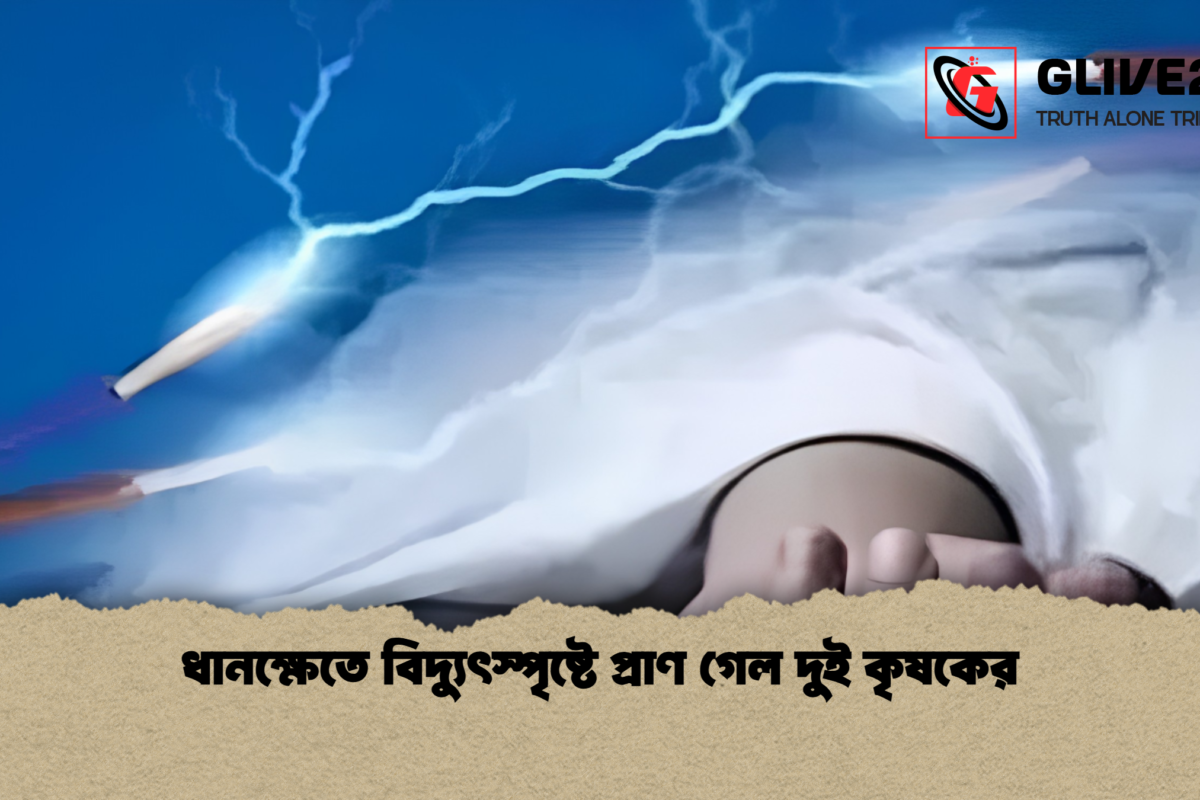 ধানক্ষেতে বিদ্যুৎস্পৃষ্টে প্রাণ গেল দুই কৃষকের