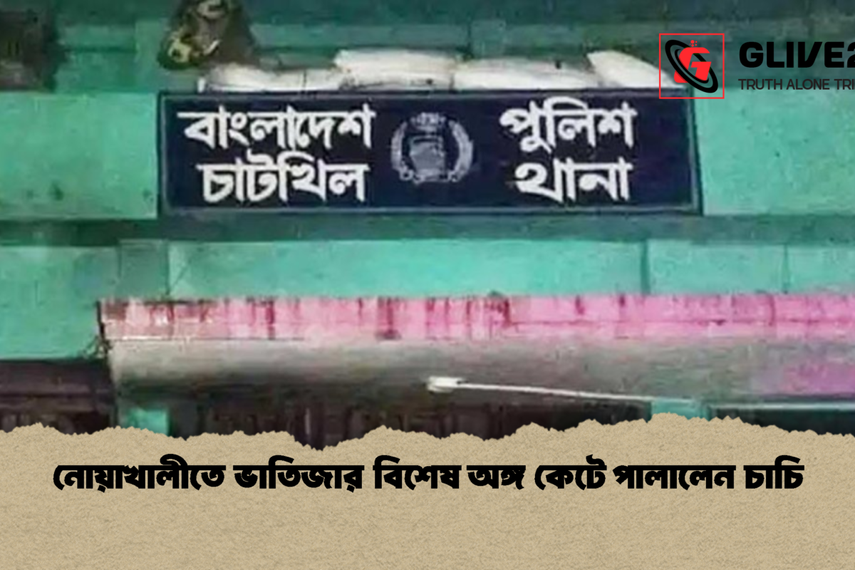 নোয়াখালীতে ভাতিজার বিশেষ অঙ্গ কেটে পালালেন চাচি