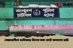 নোয়াখালীতে ভাতিজার বিশেষ অঙ্গ কেটে পালালেন চাচি