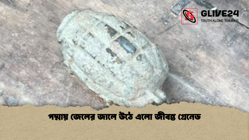 পদ্মায় জেলের জালে উঠে এলো জীবন্ত গ্রেনেড পদ্মায় জেলের জালে উঠে এলো জীবন্ত গ্রেনেড