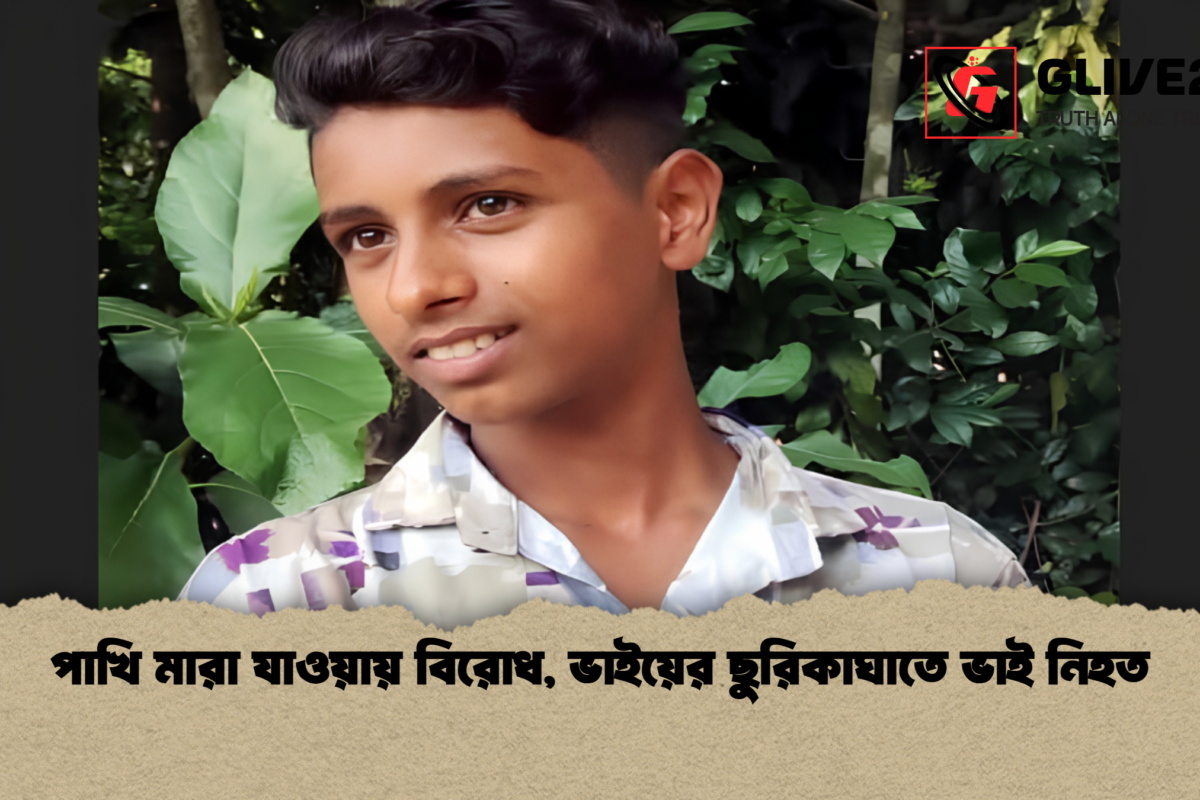 পাখি মারা যাওয়ায় বিরোধ, ভাইয়ের ছুরিকাঘাতে ভাই নিহত