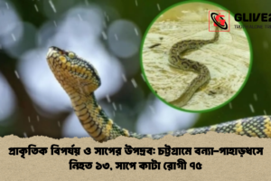 প্রাকৃতিক বিপর্যয় ও সাপের উপদ্রব: চট্টগ্রামে বন্যা-পাহাড়ধসে নিহত ১৩, সাপে কাটা রোগী ৭৫