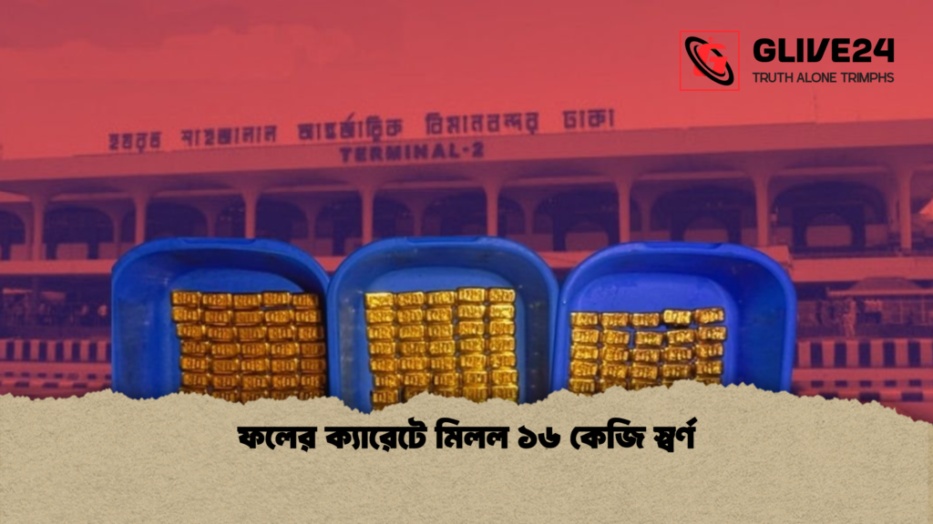 ফলের ক্যারেটে মিলল ১৬ কেজি স্বর্ণ 1 ফলের ক্যারেটে মিলল ১৬ কেজি স্বর্ণ