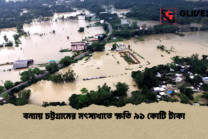 বন্যায় চট্টগ্রামের মৎস্যখাতে ক্ষতি ৯১ কোটি টাকা