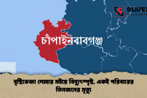 বৃষ্টিভেজা লোহার মইয়ে বিদ্যুৎস্পৃষ্ট, একই পরিবারের তিনজনের মৃত্যু
