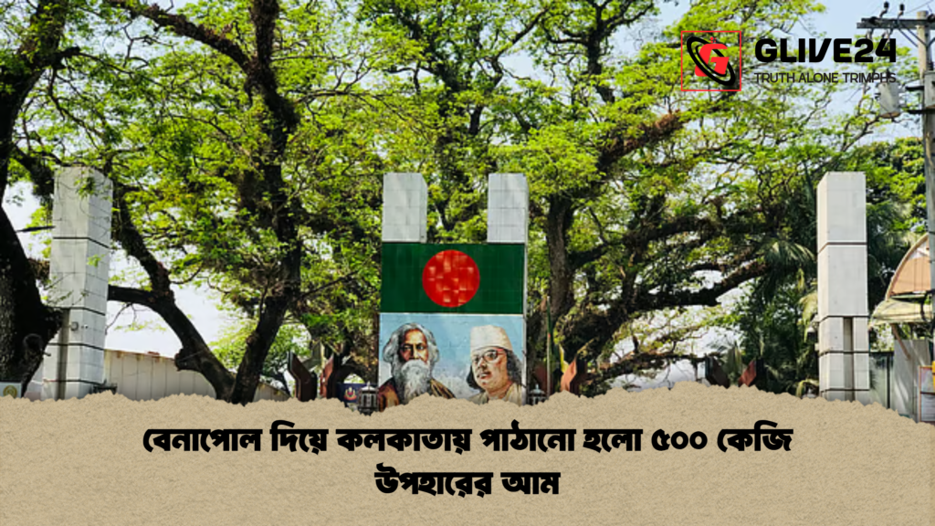 বেনাপোল দিয়ে কলকাতায় পাঠানো হলো ৫০০ কেজি উপহারের আম বেনাপোল দিয়ে কলকাতায় পাঠানো হলো ৫০০ কেজি উপহারের আম